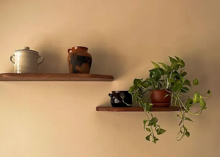Maison Li Signuri *